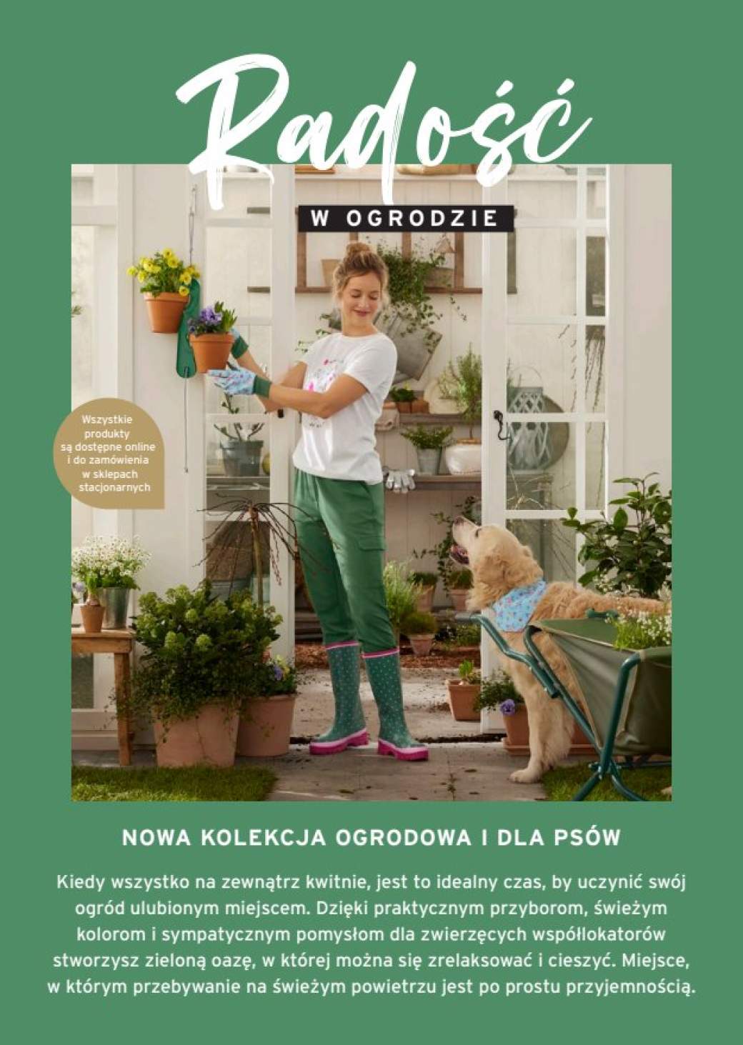 Gazetka – strona 2